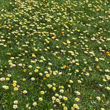 아파트 4 Estacoes