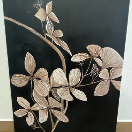 4 Estacoes * Faja Grande