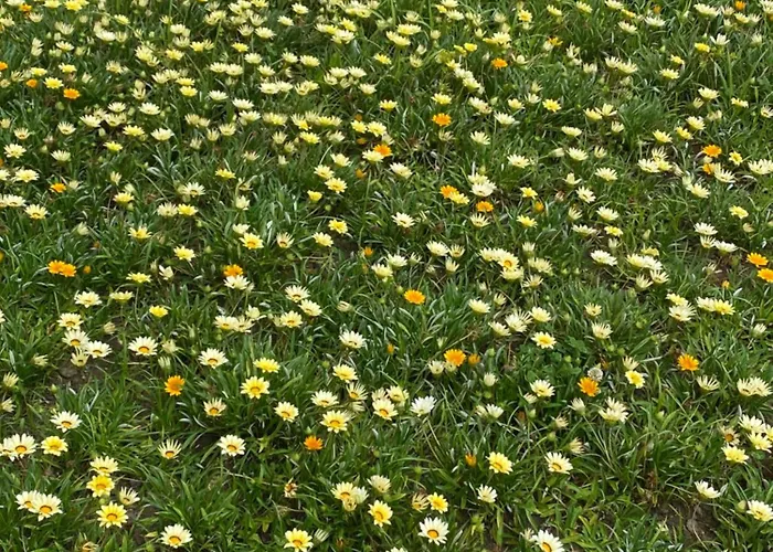 Apartment 4 Estacoes